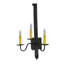 Primitive 3 - Light Candle Wall Light