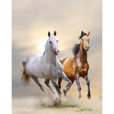 Wild & Free Tempered Glass Wall Art, 24" x 24"