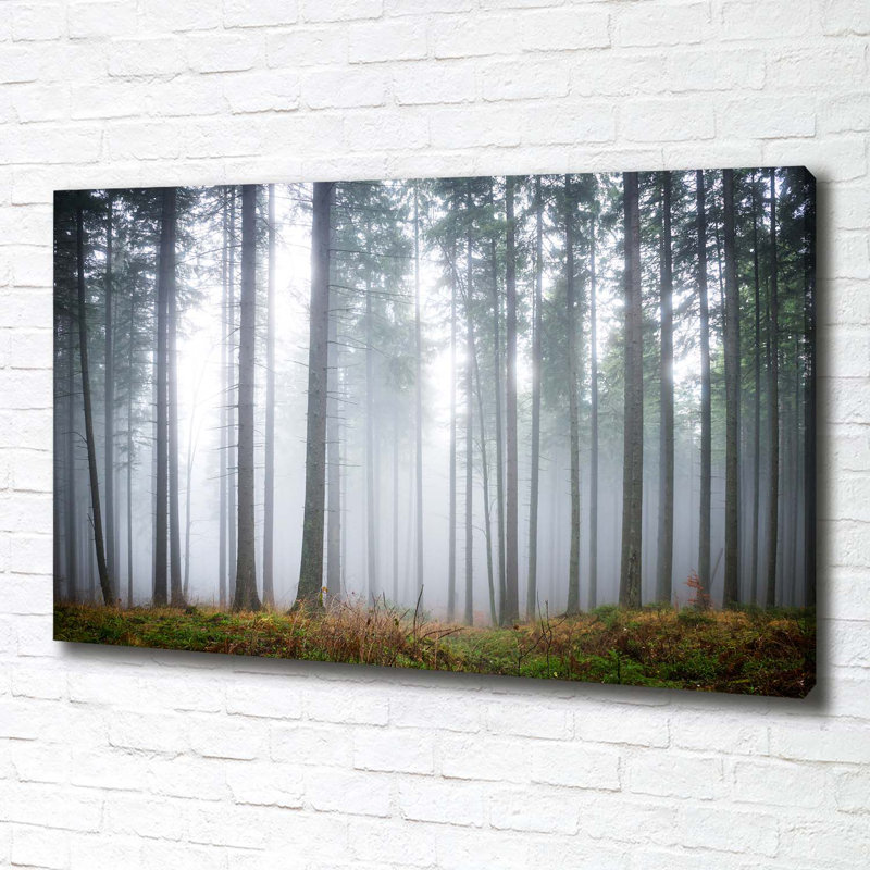 Fog In The Forest - Wrapped Canvas Print