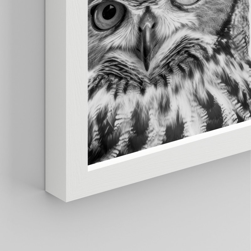 "Photographie de hibou noir et blanc" sur, Blanc, H 14 po x l 11 po
