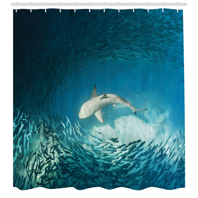 Ensemble de rideau de douche et crochets sea animaux, H 70 po x l 69 po