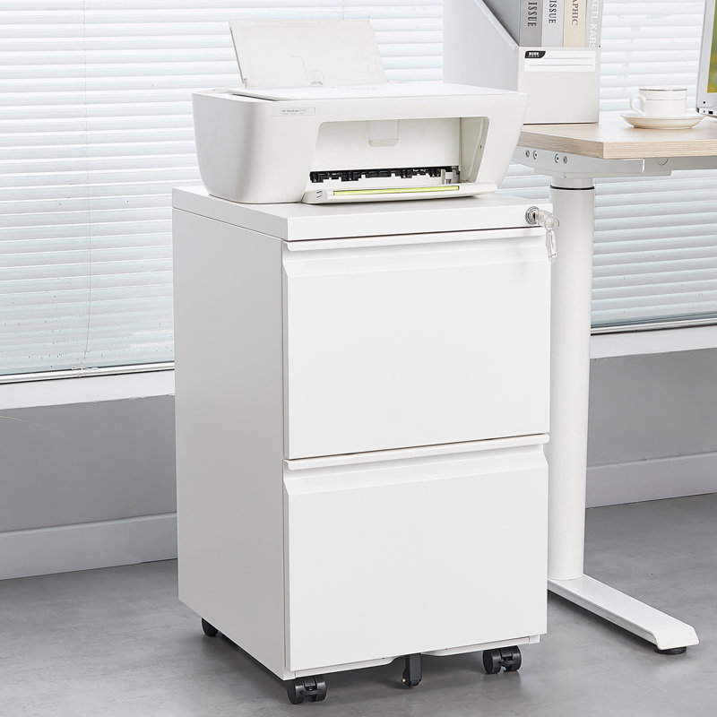Classeur de rangement de 15,35 po Mathusan, Blanc