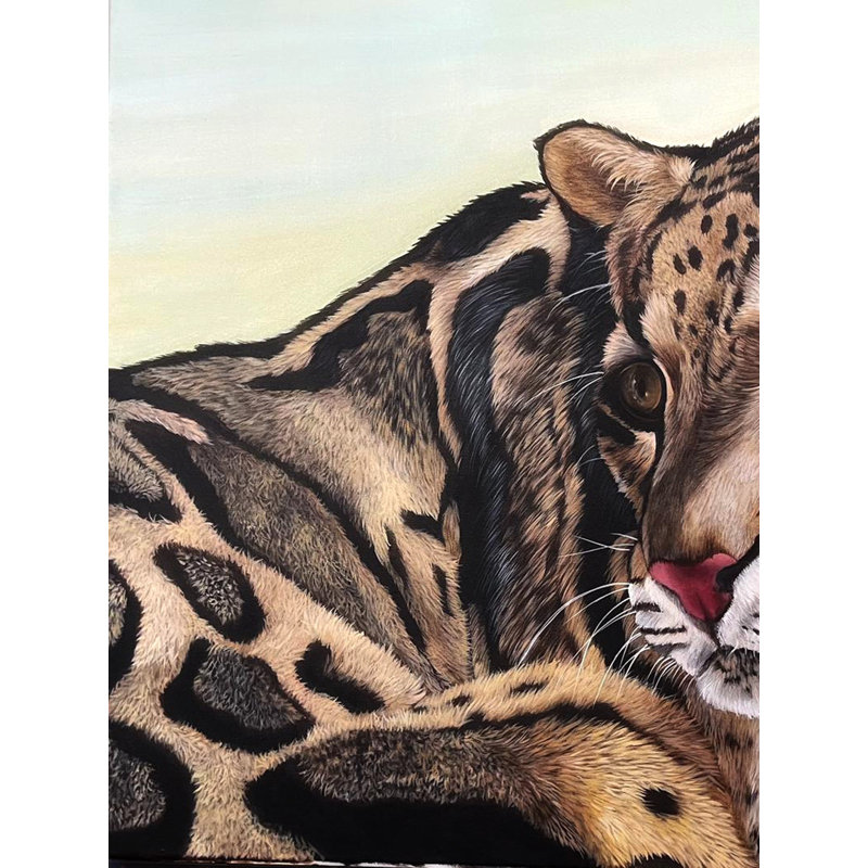 The Gaze (Clouded Leopard) | Painting By Zoya | For Wall Décor