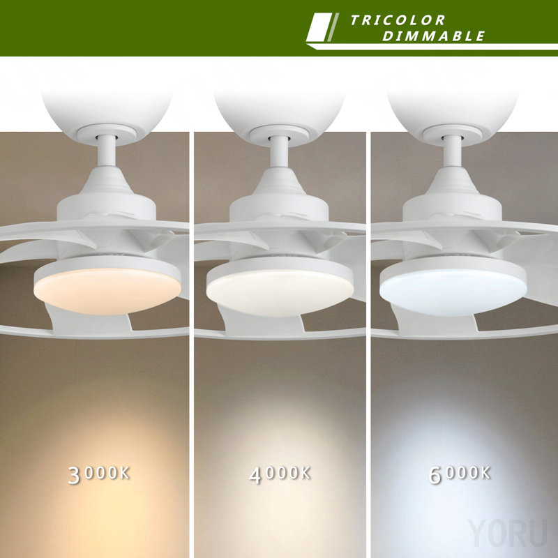 Light Pro 22 In. Led Indoor Matt White Smart Ceiling Fan With Dc Motor