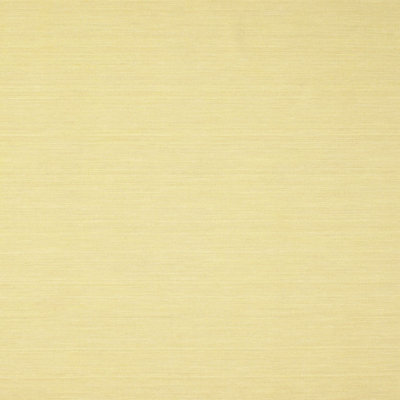 Indoor Rug