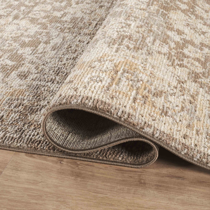 Abani Rugs EVE100A Evelyn Distressed Floral Beige Taupe Area Rug, Rectangle 6' x 9'5"