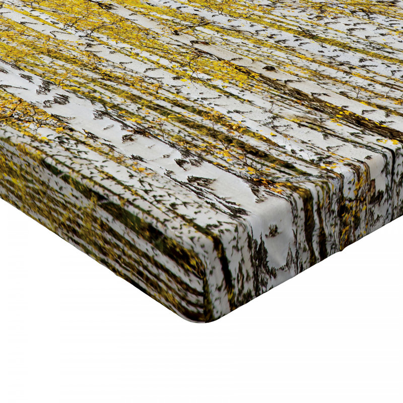 Microfiber Fitted Sheet, Twin Fitted Sheet, birch forest