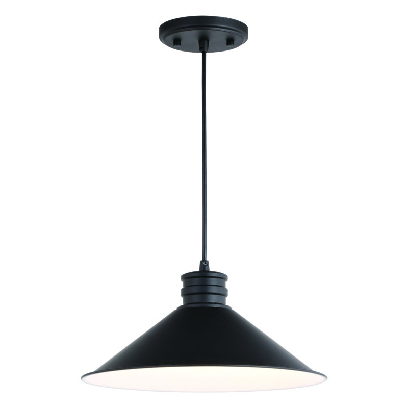 Luminaire suspendu en forme de dôme à 1 lumière Tamar, H 7,75 po x l 12 po x P 12 po