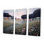 «Blooming Wildflowers In Countryside Town», ensemble d'art mural prairie-708722546-708722549