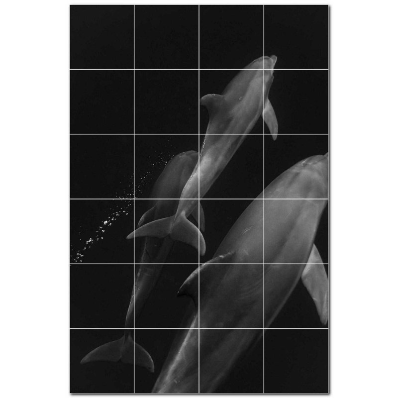 4,25 x 4,25