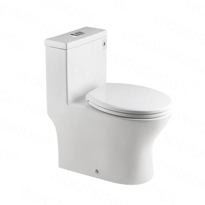 1.28 GPF Round Compact One Piece Dual-Flush Toilet with Soft-Closing Seat,MAP Flushing 1000G
