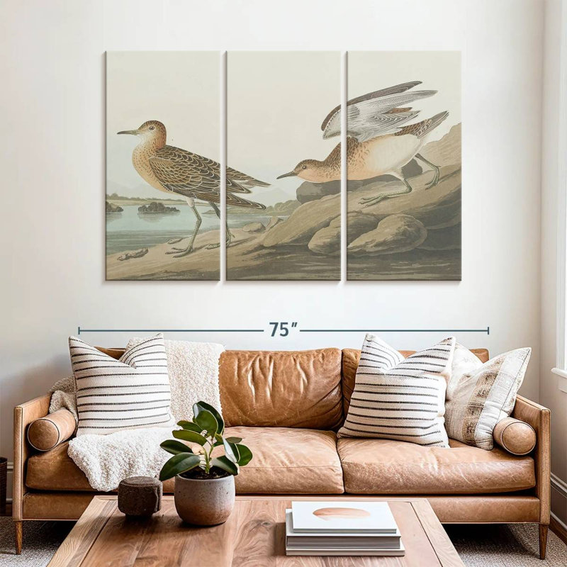 Brampt Buff Breasted Sandpiper, 42" H x 65" W