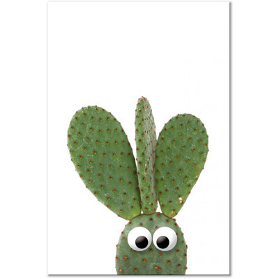 " Ear Cactus "