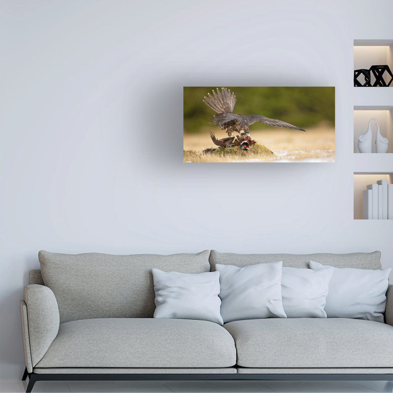 Milan Zygmunt  Peragrine Falcon Canvas Art, 10" H x 19" W