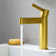 Stila Single Hole Single-Handle Bathroom Faucet 