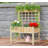 Shellman Wood Raised Garden Bed
