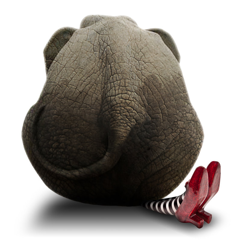 Errol Elephant - Wrapped Canvas Print, 30cm H x 30cm W x 3.8cm D