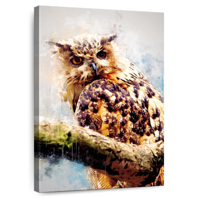 Owl Looking