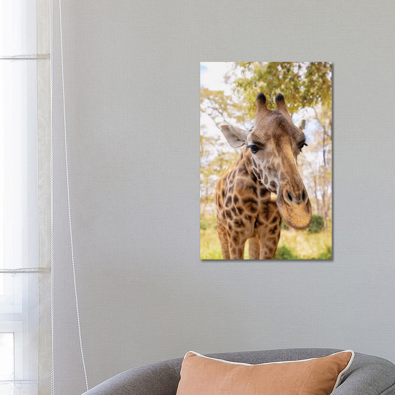 Curious Giraffe by Kathy Mansfield - Wrapped Canvas Gallery-Wrapped Canvas Giclée, 66.04 cm H x 45.72 cm W