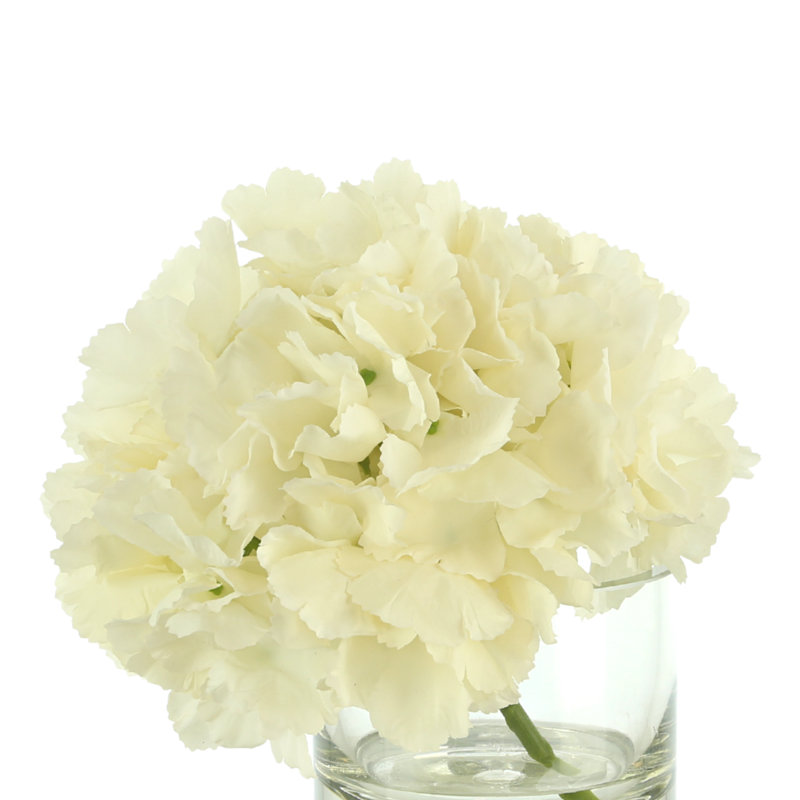 Hydrangea in Vase