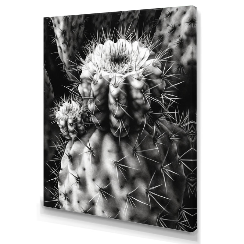 Nayonika " Gray Desert Cactus II ", 32" H x 16" W x 1" D, Wrapped Canvas