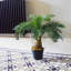 60cm Faux Plant in Pot Liner