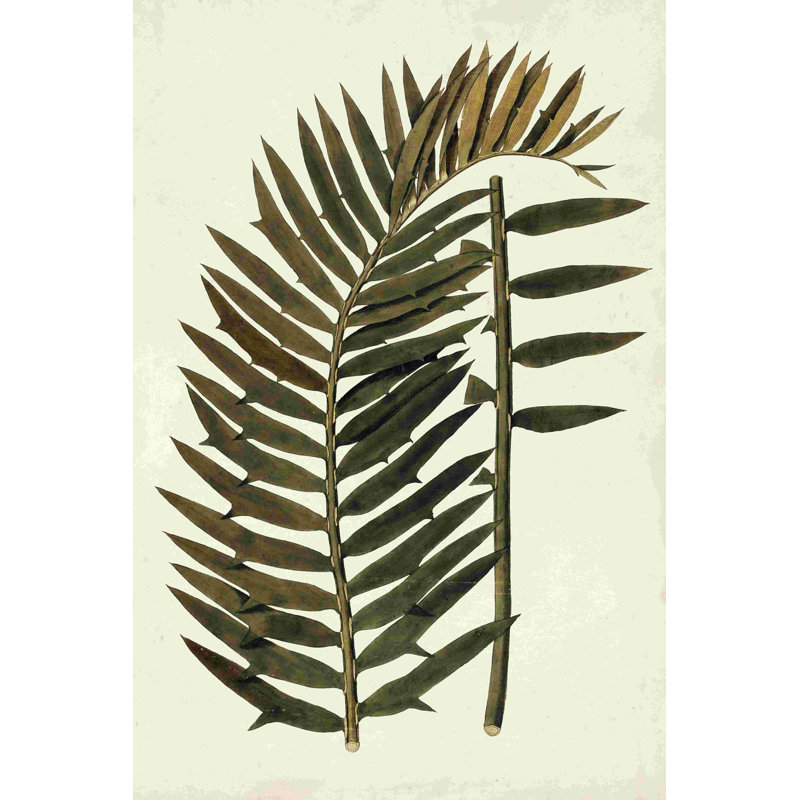 «Leaf Variétés» par Vision Studio - reproduction sur toile tendue, H 18 po x l 12 po