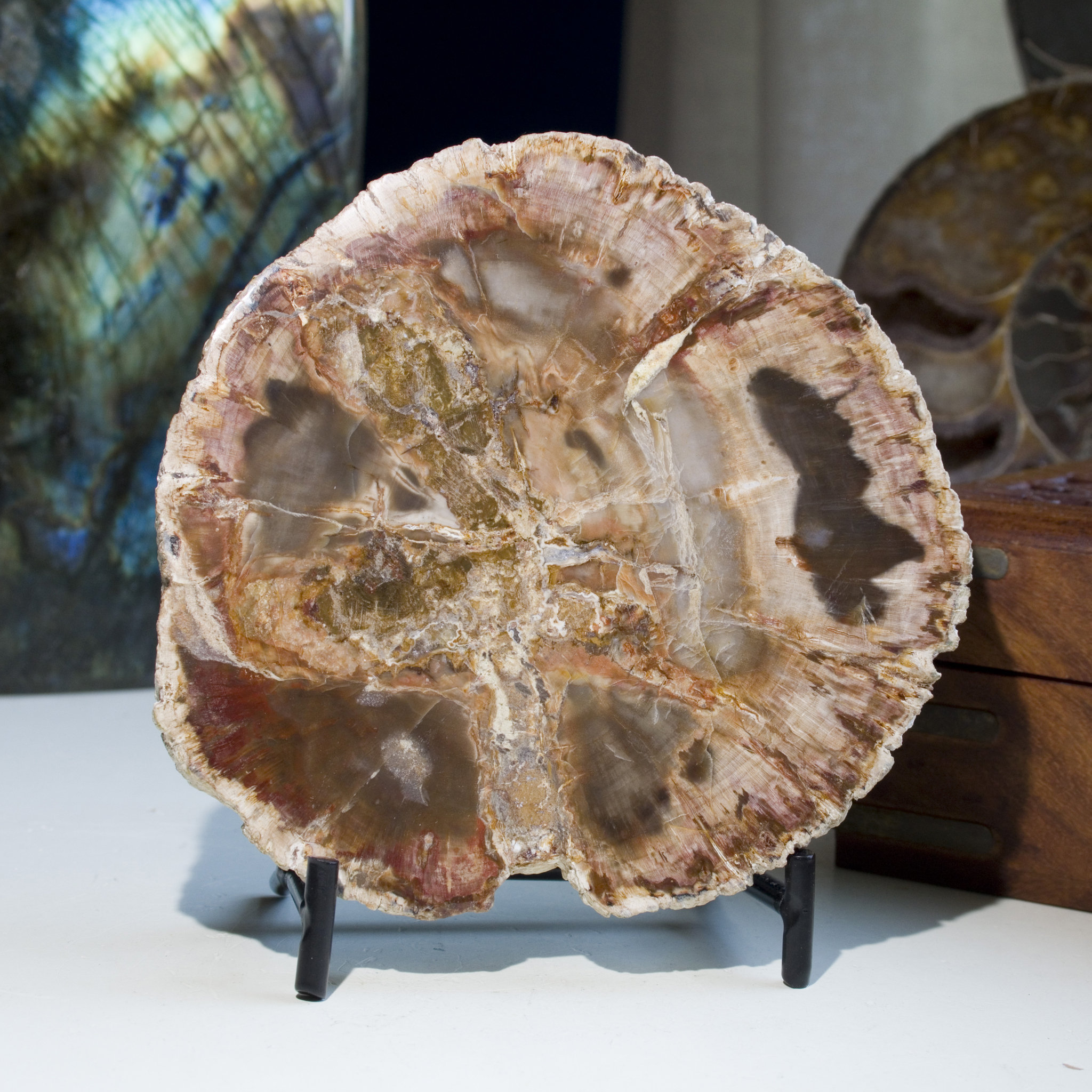 Dakota Fields Daleb Crystal | Wayfair