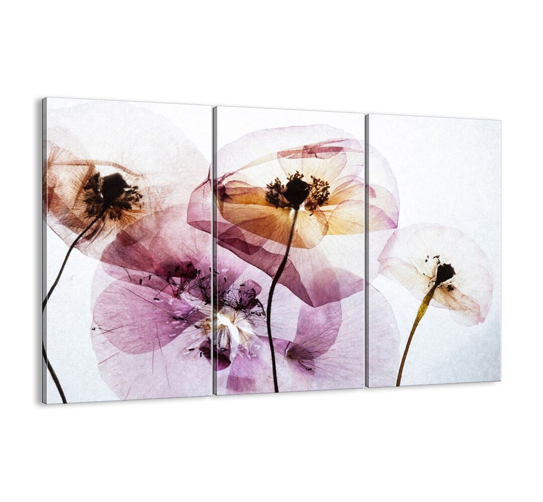 3-tlg. Leinwandbilder-Set - Grafikdruck „Flowers Body Filmstrip”