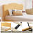 Bed Frame For Kids With Scallop Headboard, Cute Velvet Bed For Girls, Boys, Sturdy Platform Bed-1355025664-1355025665