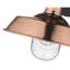 Luminaire de grange d'extérieur H 10,5 po Sussman-1812486899