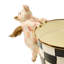 Rosy Check Flying Pig Pot Climber