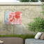 Coquelicot bolologien 3-98081896