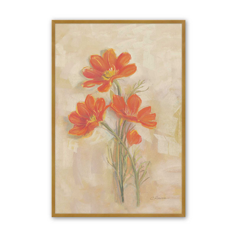 Spicy Orange Cosmos By Carol Rowan Canvas Art Print, 16" H x 12" W, Gold