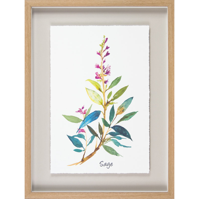 Herb Study I - Single Picture Frame Rectangle Print on Canvas, Framed Paper