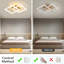 Flush Mount