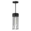 Luminaire suspendu d'extérieur Pierson