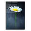 «All By Myelf» par Pamela Plummer-2092343668