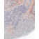 Dimonetta Washable Oriental Indoor Rug