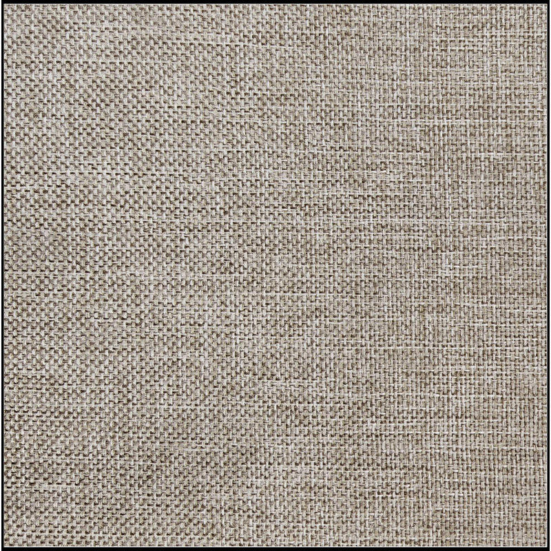 Chaise d'appoint rembourrée (ensemble de 2), Gris, Gris