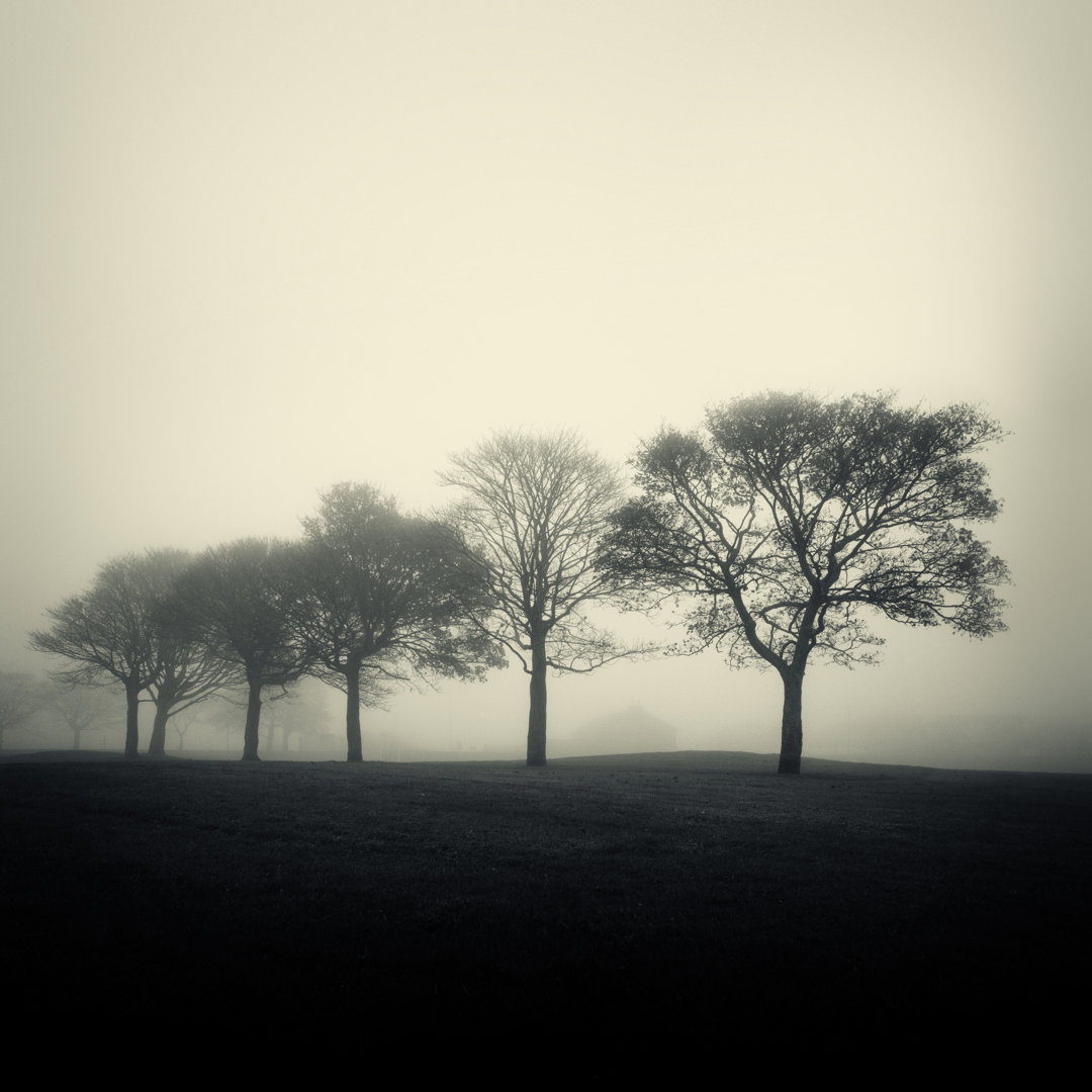 Bäume im Nebel von Duncan - Leinwandbild