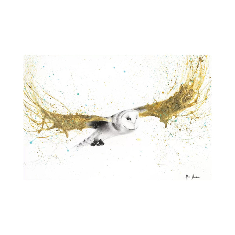 Night Adventurer by Ashvin Harrison - Print on Canvas, 30.48 cm H x 45.72 cm W, Wrapped Canvas