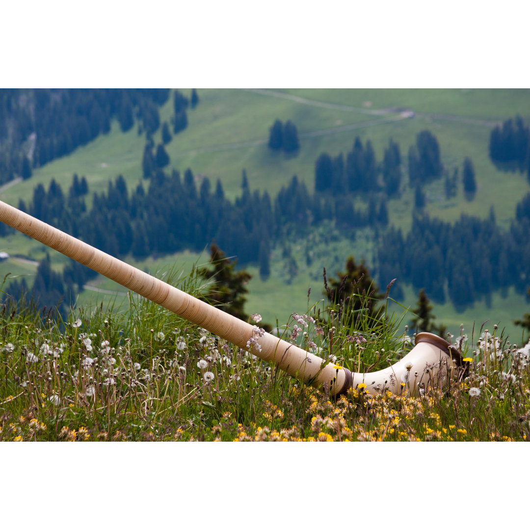 Alphorn auf der Wiese von Bopyd - Druck