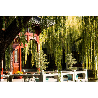 Pagoda And Willow Tree Photography - Wrapped Canvas Art Prints