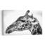 Majestic Giraffe Profile Contemporary Wall Art Print-405227424