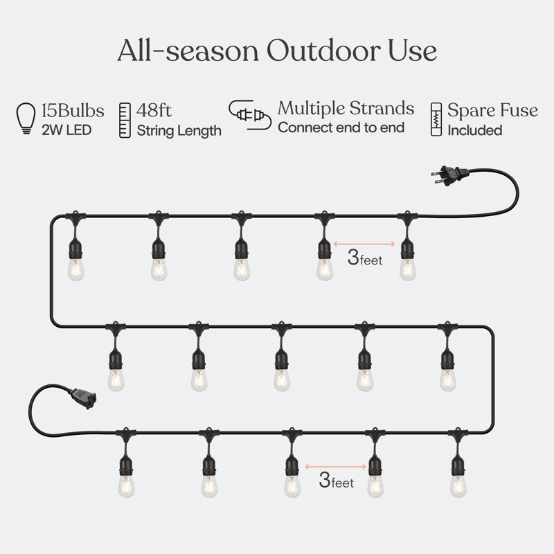 Outdoor 16 - Bulb 1.5'' Plug-in LED String Light