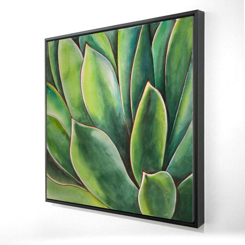 «Watercolor Agave Plant», reproduction sur toile