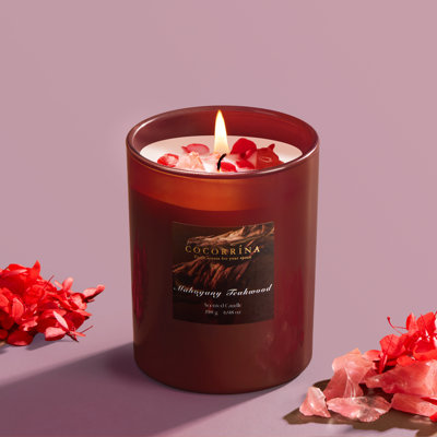 Bougie parfumée en cristal de teck et acajou, 6,98 oz
