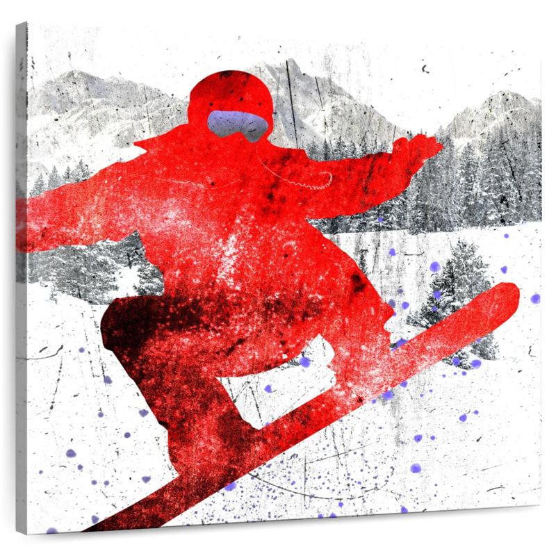 Sirci Extreme Snowboarder I, H 33 po x l 33 po