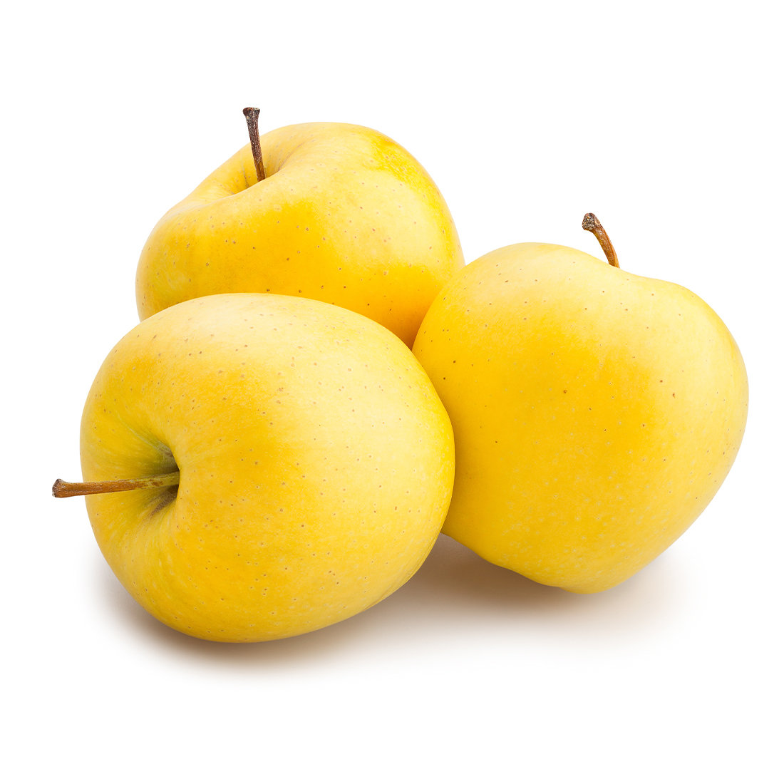 https://assets.wfcdn.com/im/97584759/compr-r85/2579/257903551/american-plant-exchange-golden-delicious-apple-tree-live-outdoor-fruiting-plant-self-pollinating-fruit.jpg